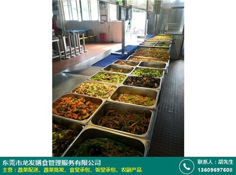 食堂承包市场动态剖析